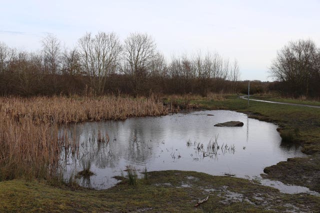 A healing nature site at Colliery Wood, South Tyneside 