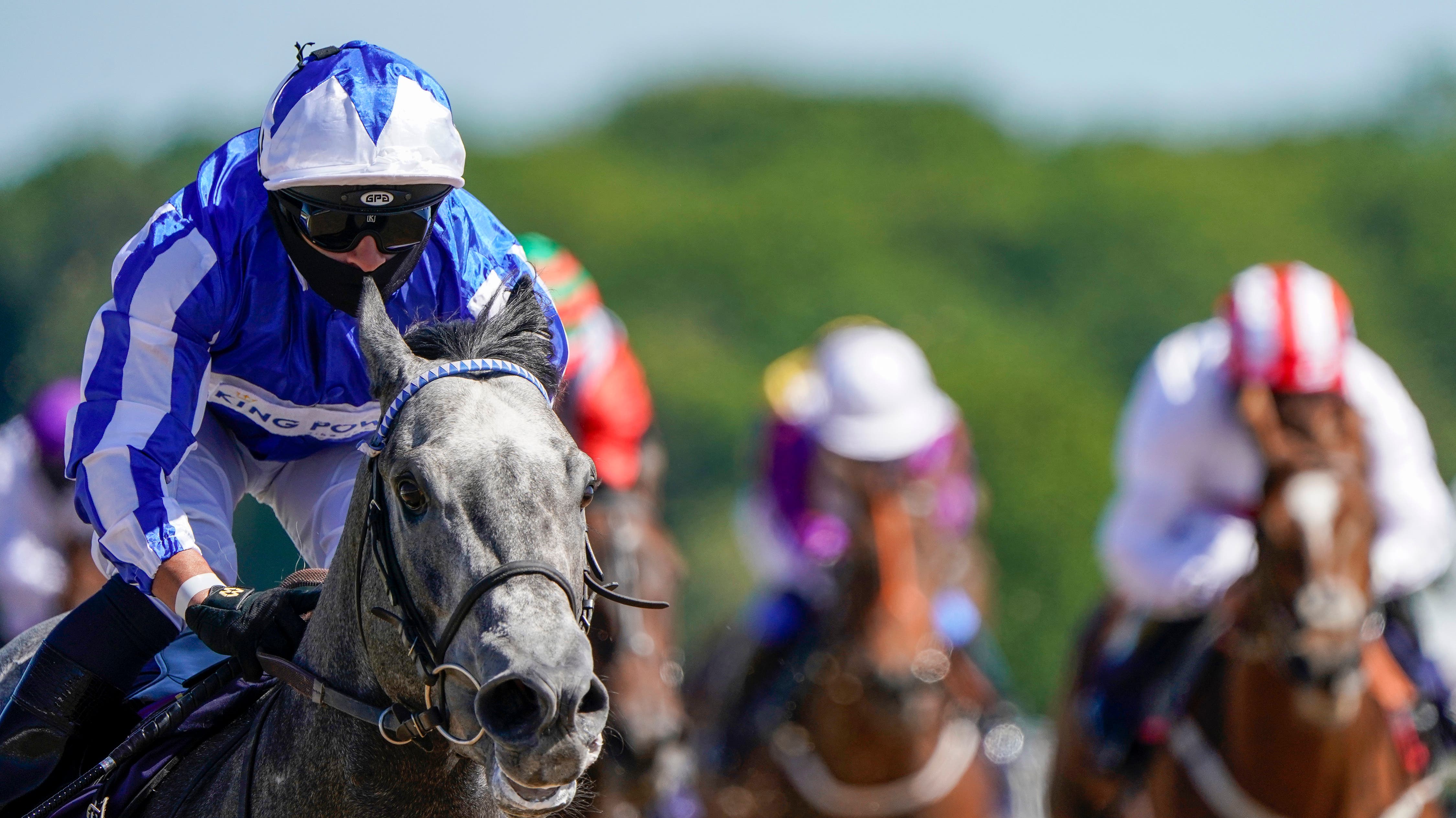 Duke Of York preview: Art Power faces strong opposition - Vimarsana News