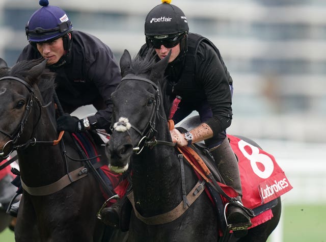 Monmiral (right) is on course for Aintree