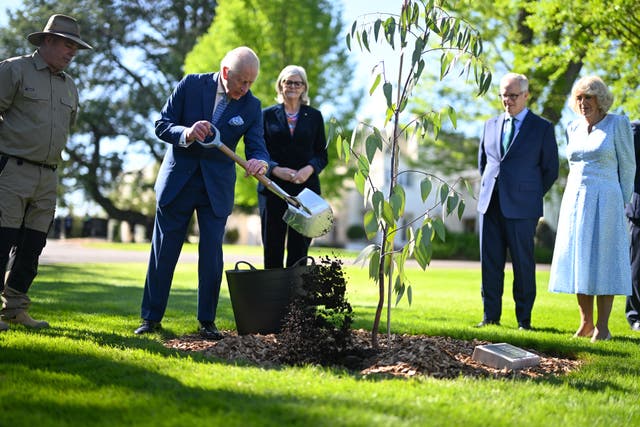 The King and Queen during the ceremonial planting of two snow gum eucalyptus trees, in the garden of Government House in Canberra