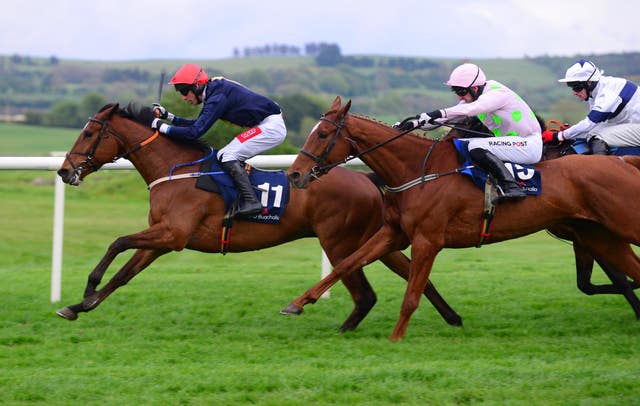 Longhouse Poet running at Punchestown