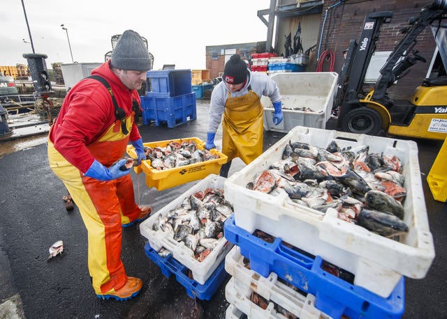 Brexit fishing