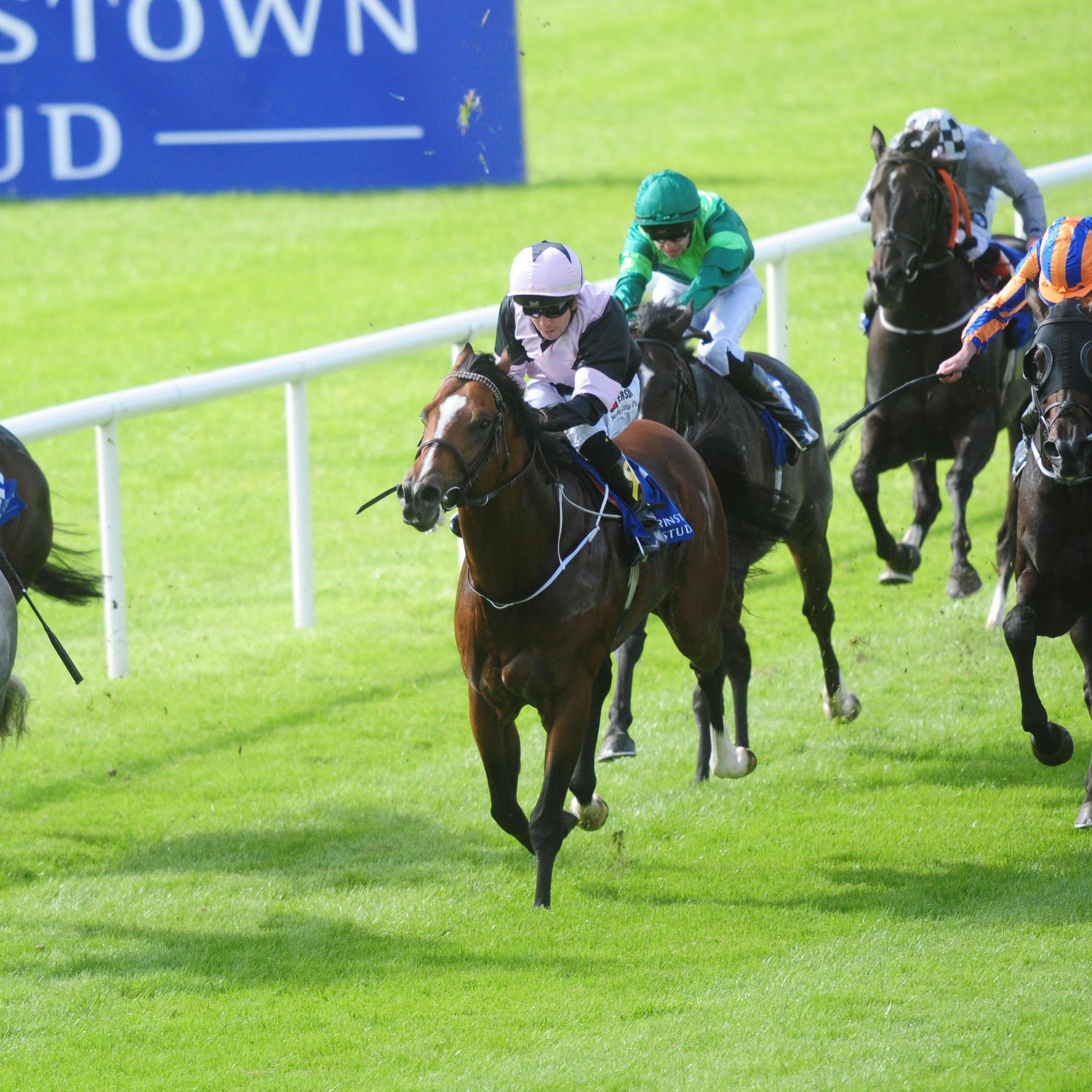 Hit The Bid (middle) was not beaten far by Havana Grey in the Flying Five