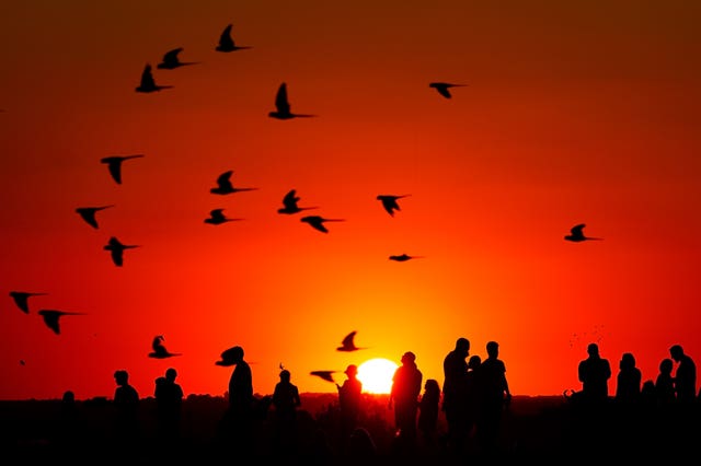 A crowd of people watch the setting sun from a hill in Ealing, west London 