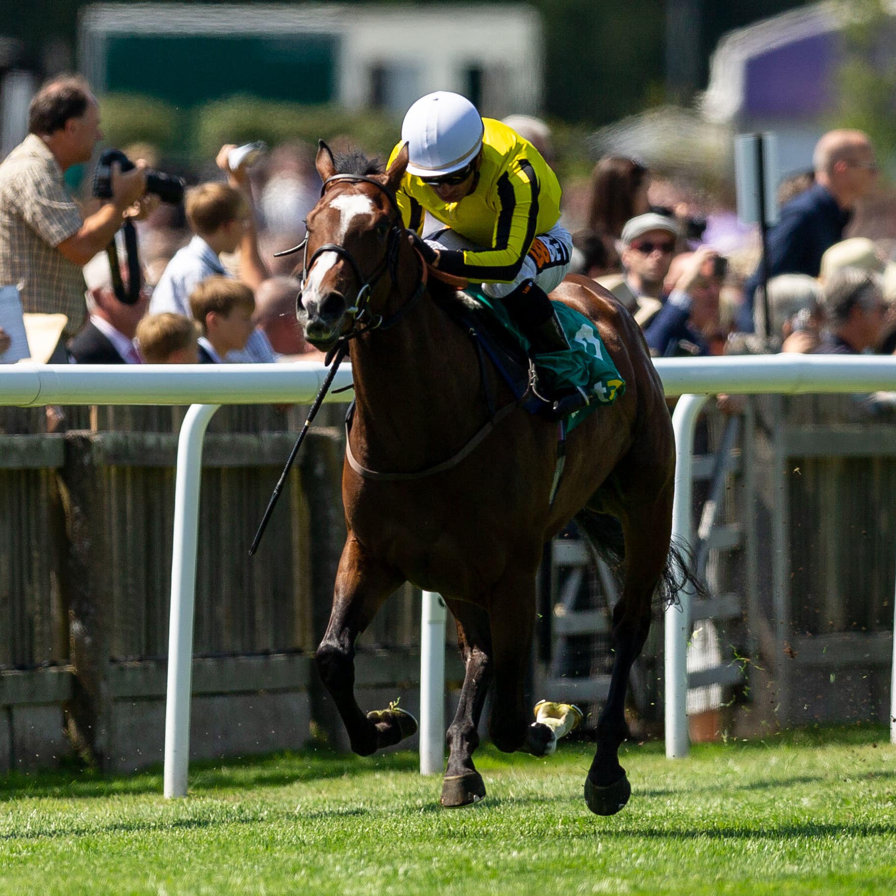 Pretty Pollyanna stormed to victory at Newmarket