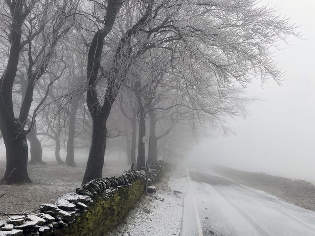 Snowy conditions and fog on a tree-lined road