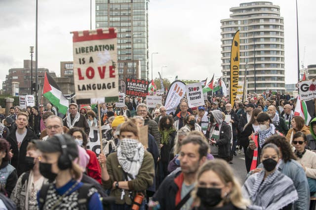 Pro-Palestinian protesters