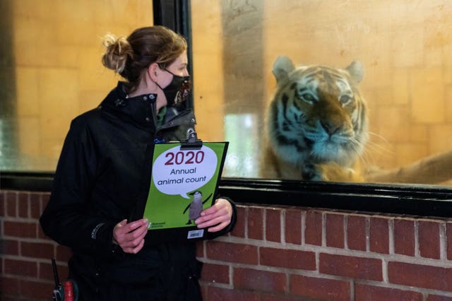 Marwell Zoo stocktake