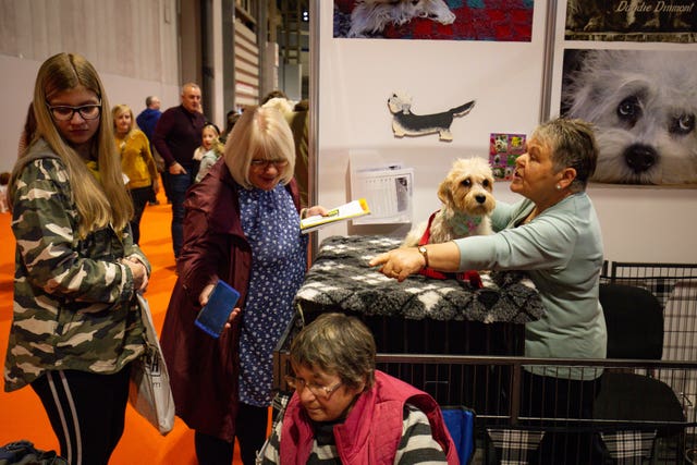 Visitors at the Dandie Dinmont Terrier stall