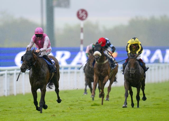 Sweet William won the Summer Handicap in 2023 