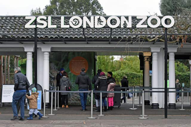Members of the public enter London Zoo after it reopened on Christmas Eve (Victoria Jones/PA)