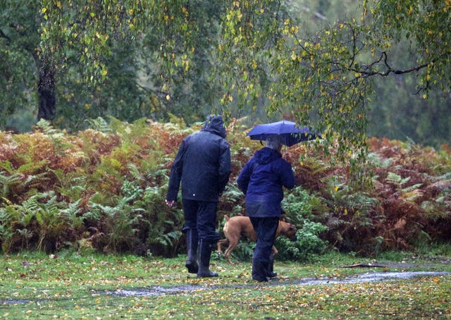 Dog walkers on Chobham Common in Surrey