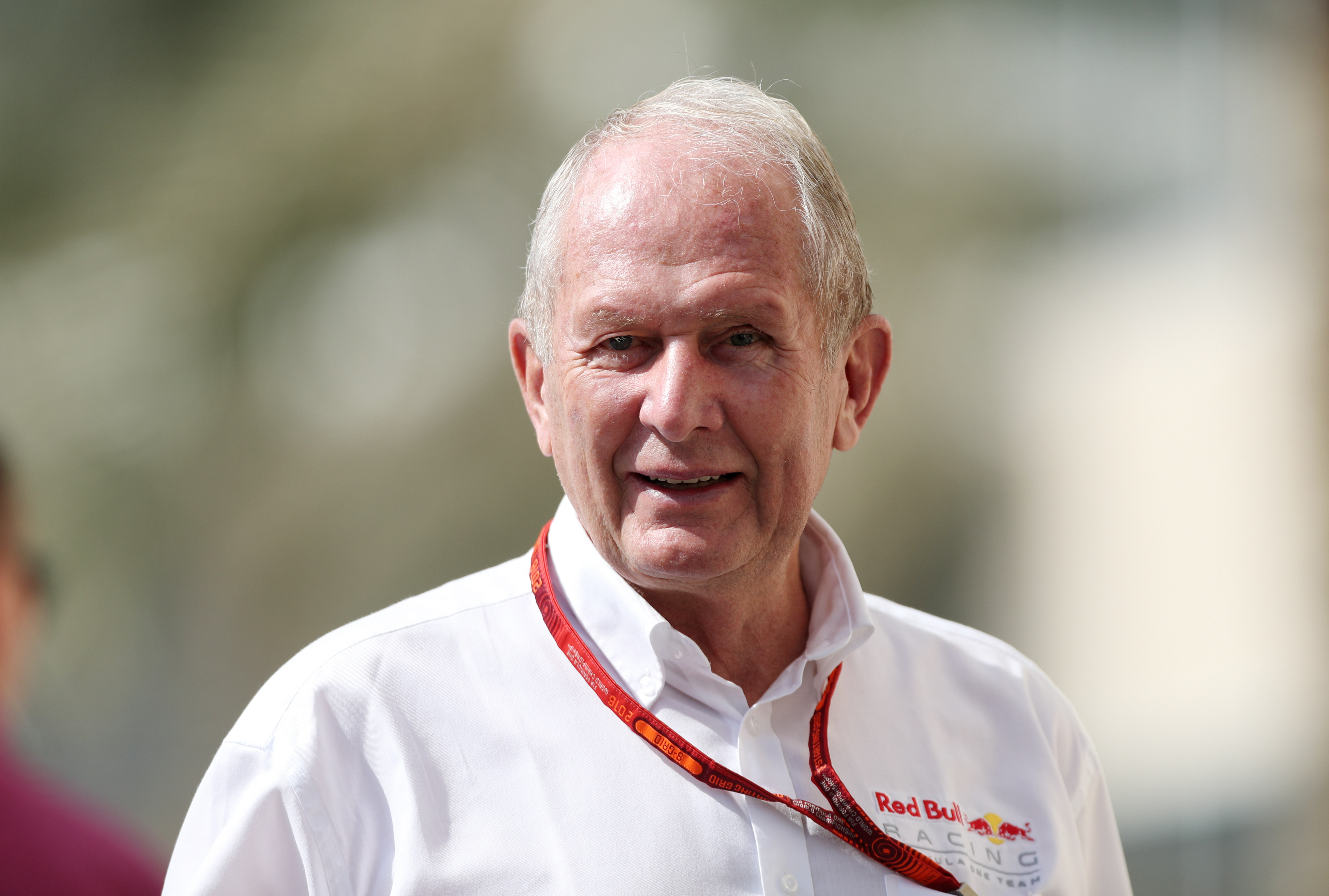 red bull helmut marko