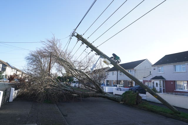 collapsed electricity poles 