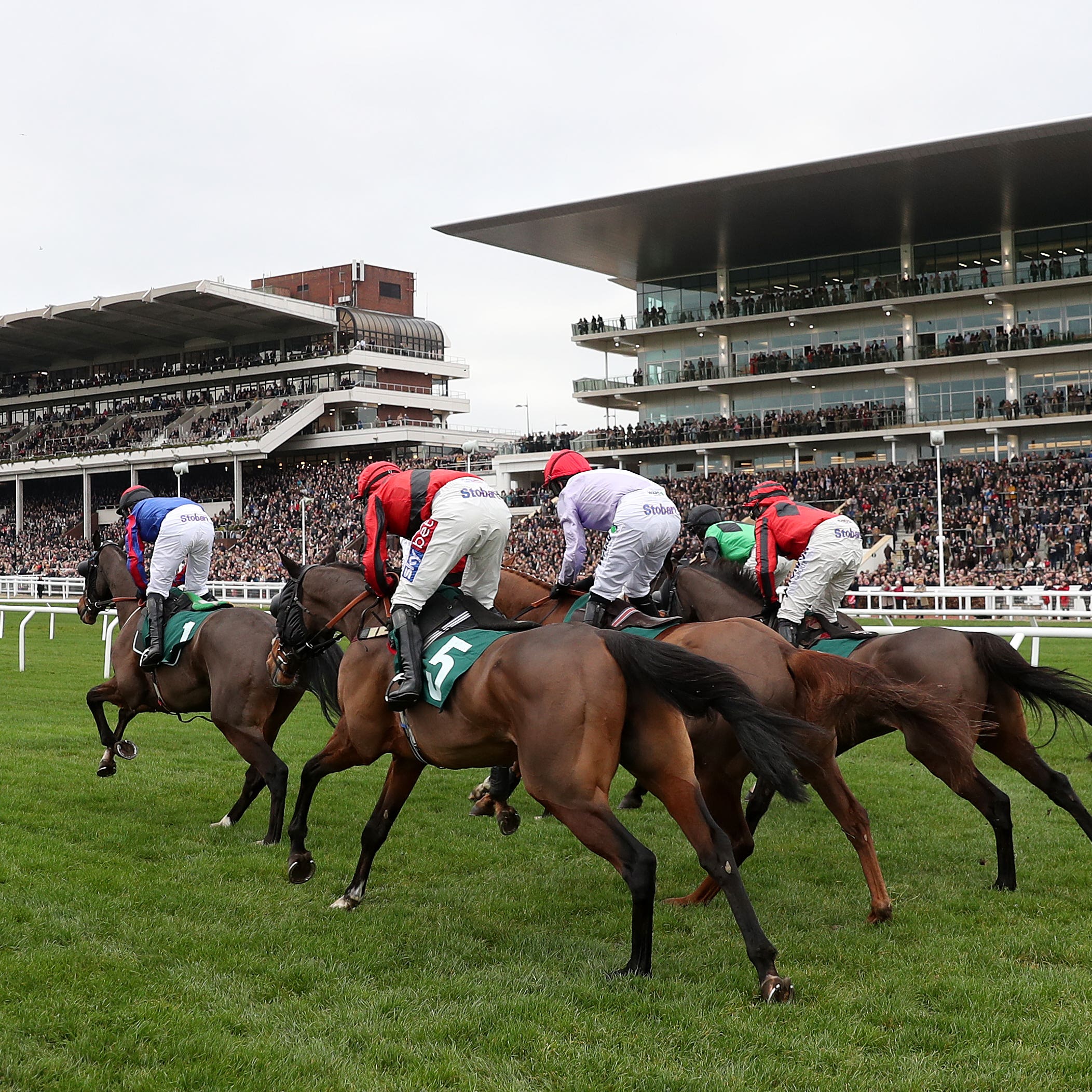 Cheltenham on a race day