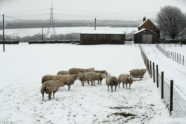 Spring weather Mar 10th 2019