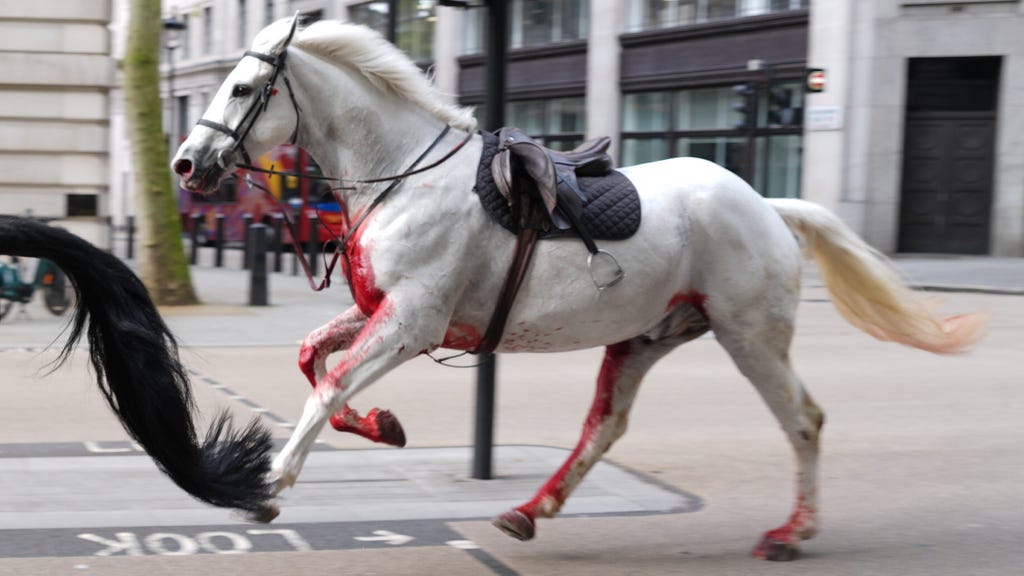 London horse incident