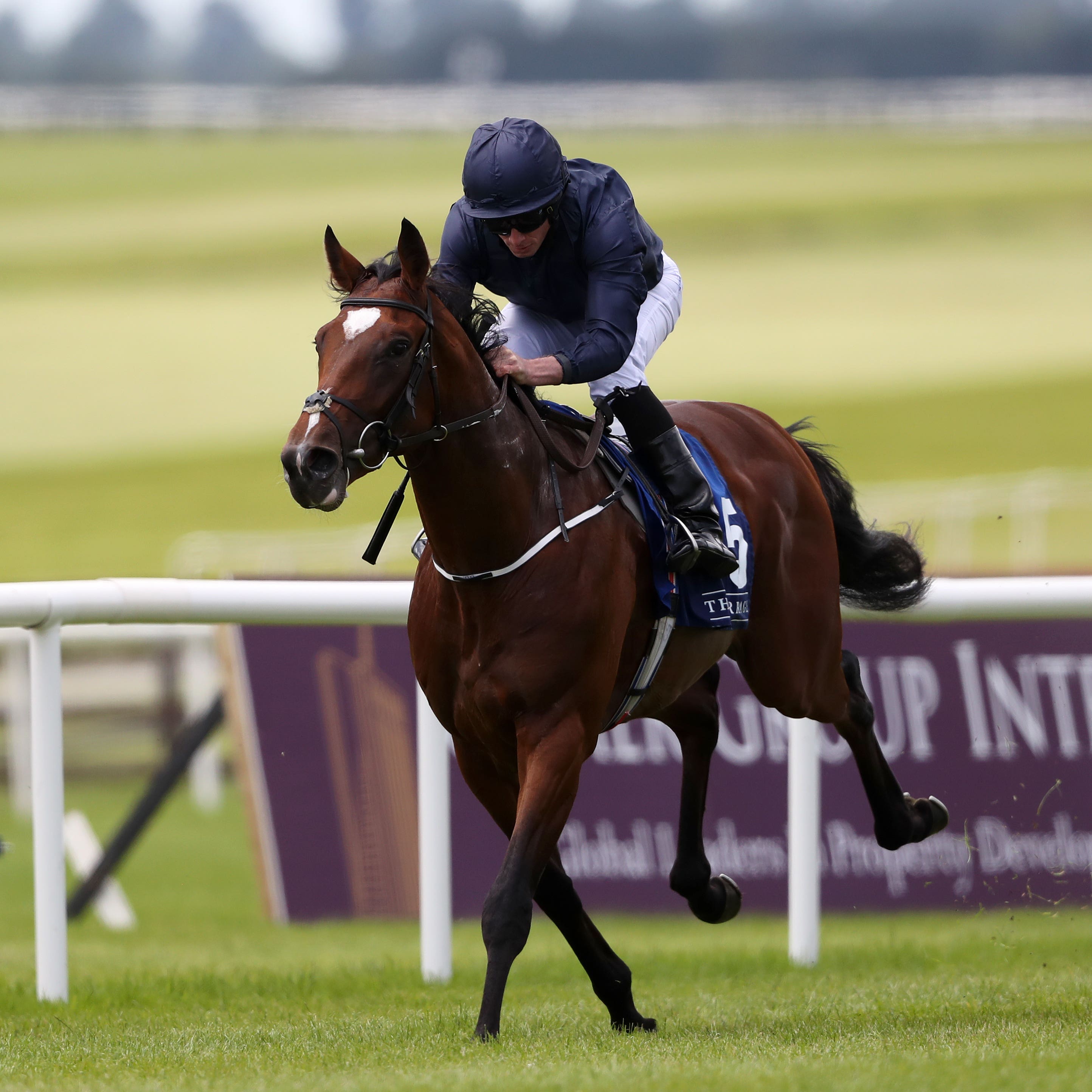 Gustav Klimt will bid for Classic compensation at the Curragh (Niall Carson/PA)