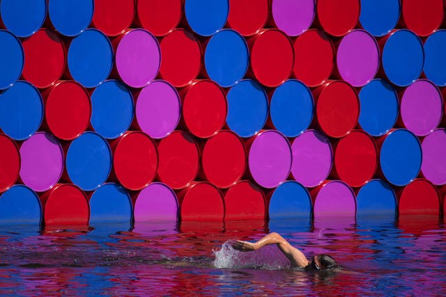 Swimmer in the Serpentine