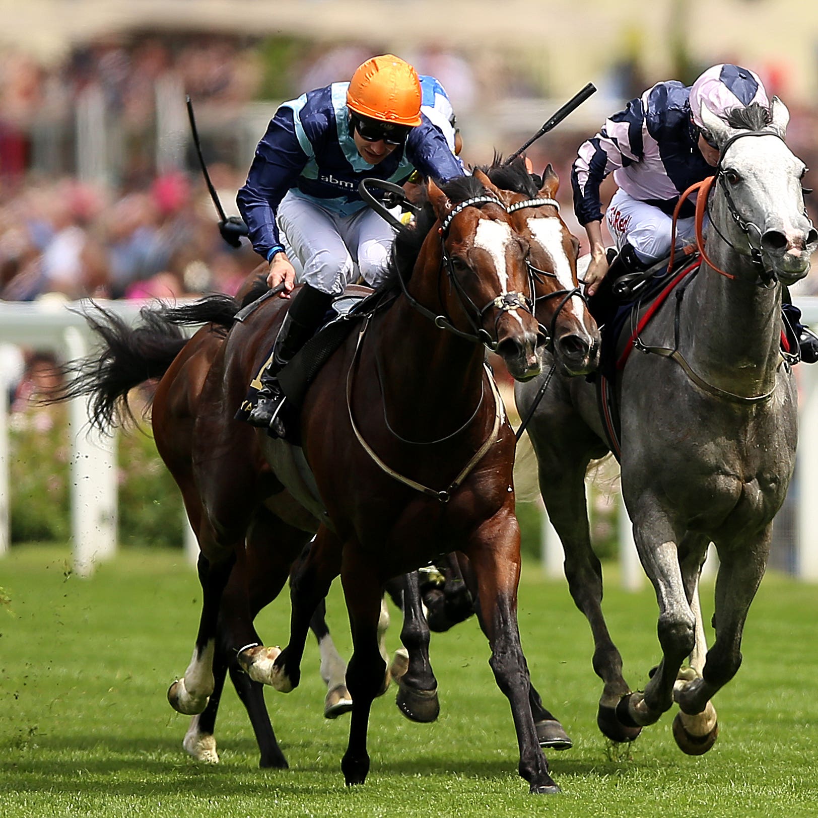 Accidental Agent races to a huge win in the Queen Anne at Royal Ascot
