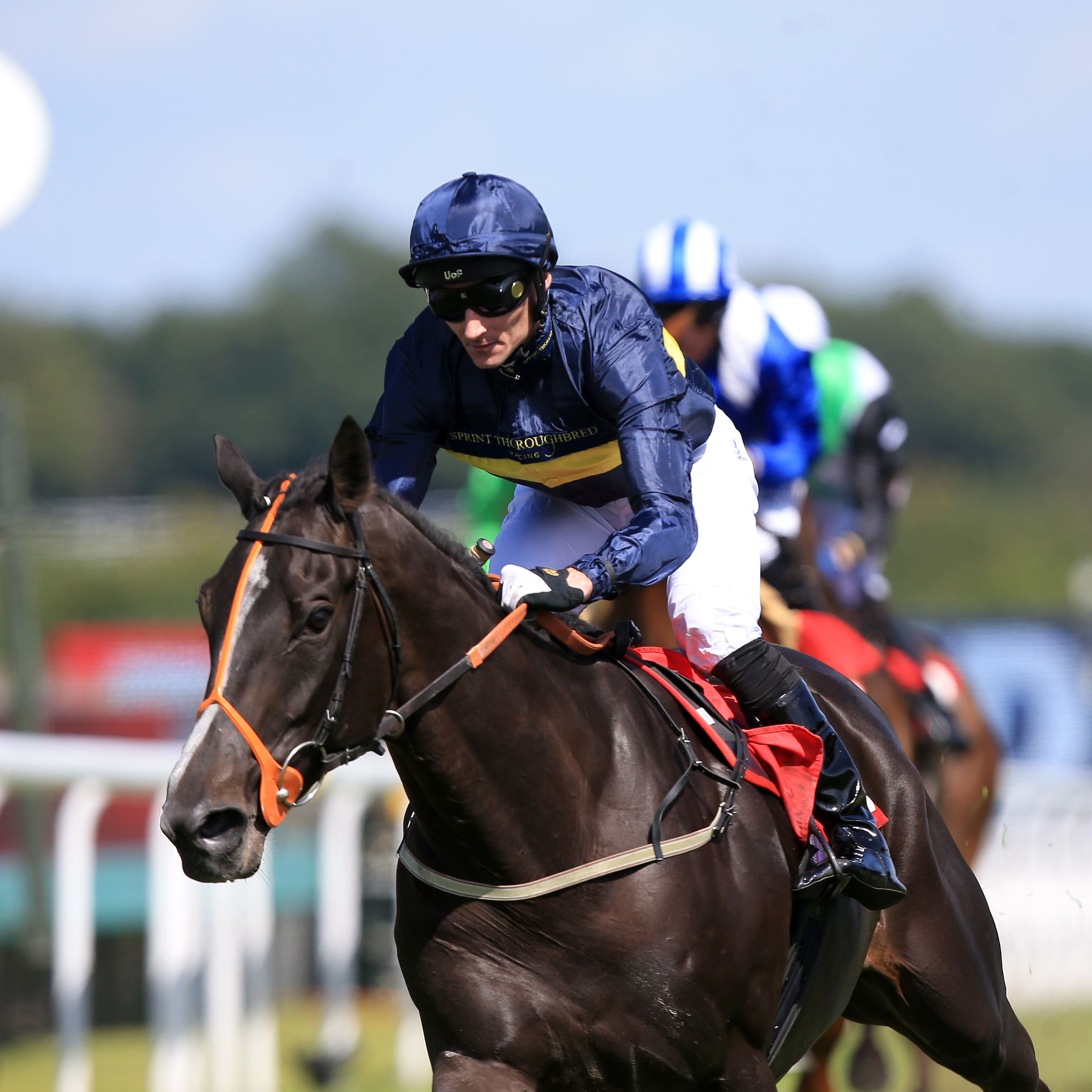 So Beloved is one of two runners in the Minstrel Stakes for David O'Meara