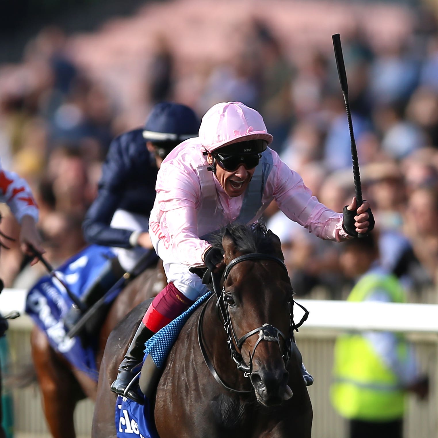 Too Darn Hot is a surprise candidate for the Irish 2,000 Guineas