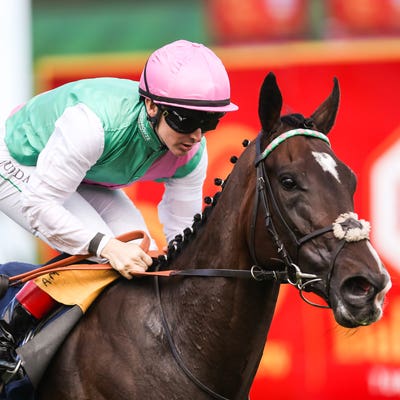Blue Bolt aiming to strike at extended trip in Filly & Mare Turf