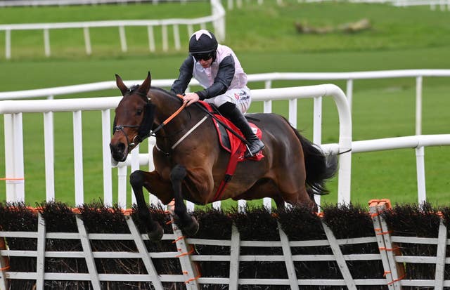 Shannon Royale has taken well to fences 