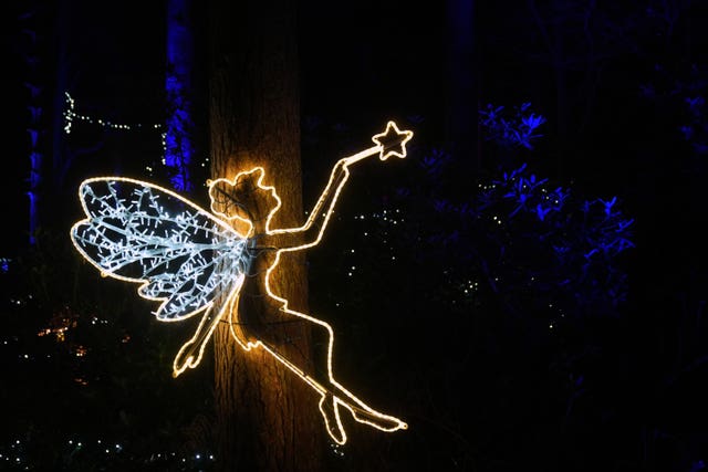 A fairy is illuminated against the trees 