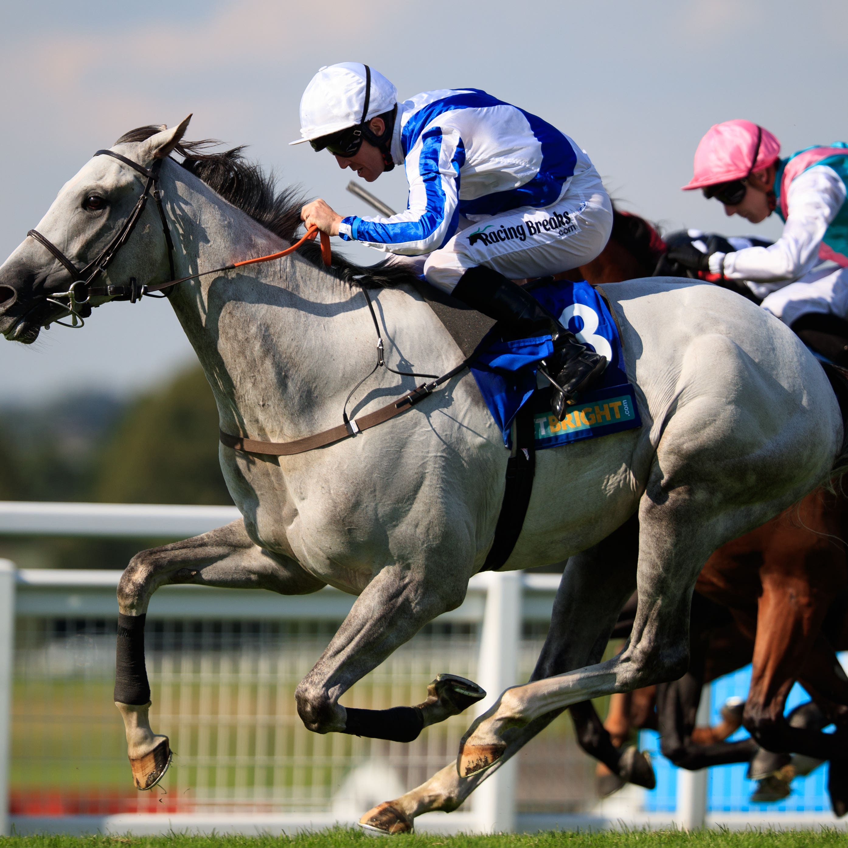 Thundering Blue is set to head to France