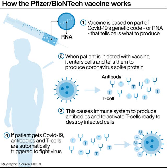 How the Pfizer/BioNTech vaccine works.