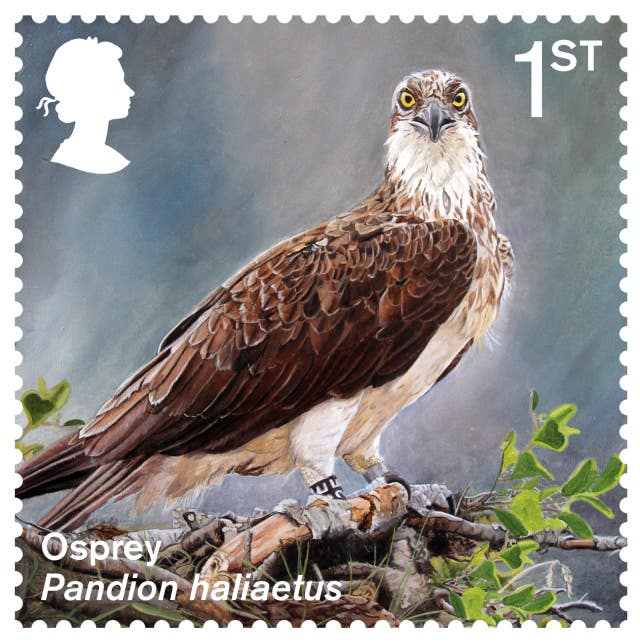 Extinct or endangered species stamps