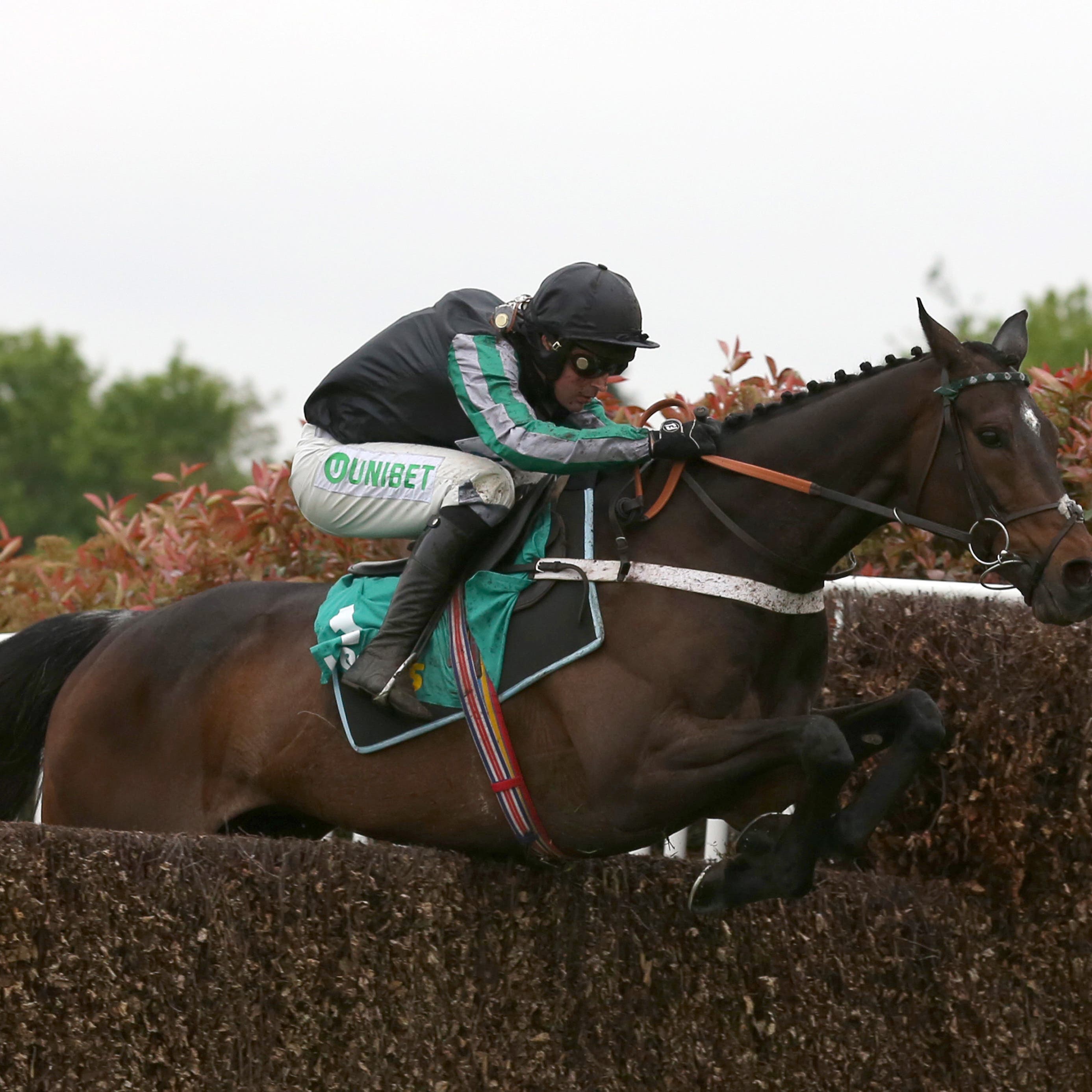 Altior winning at Sandown in April