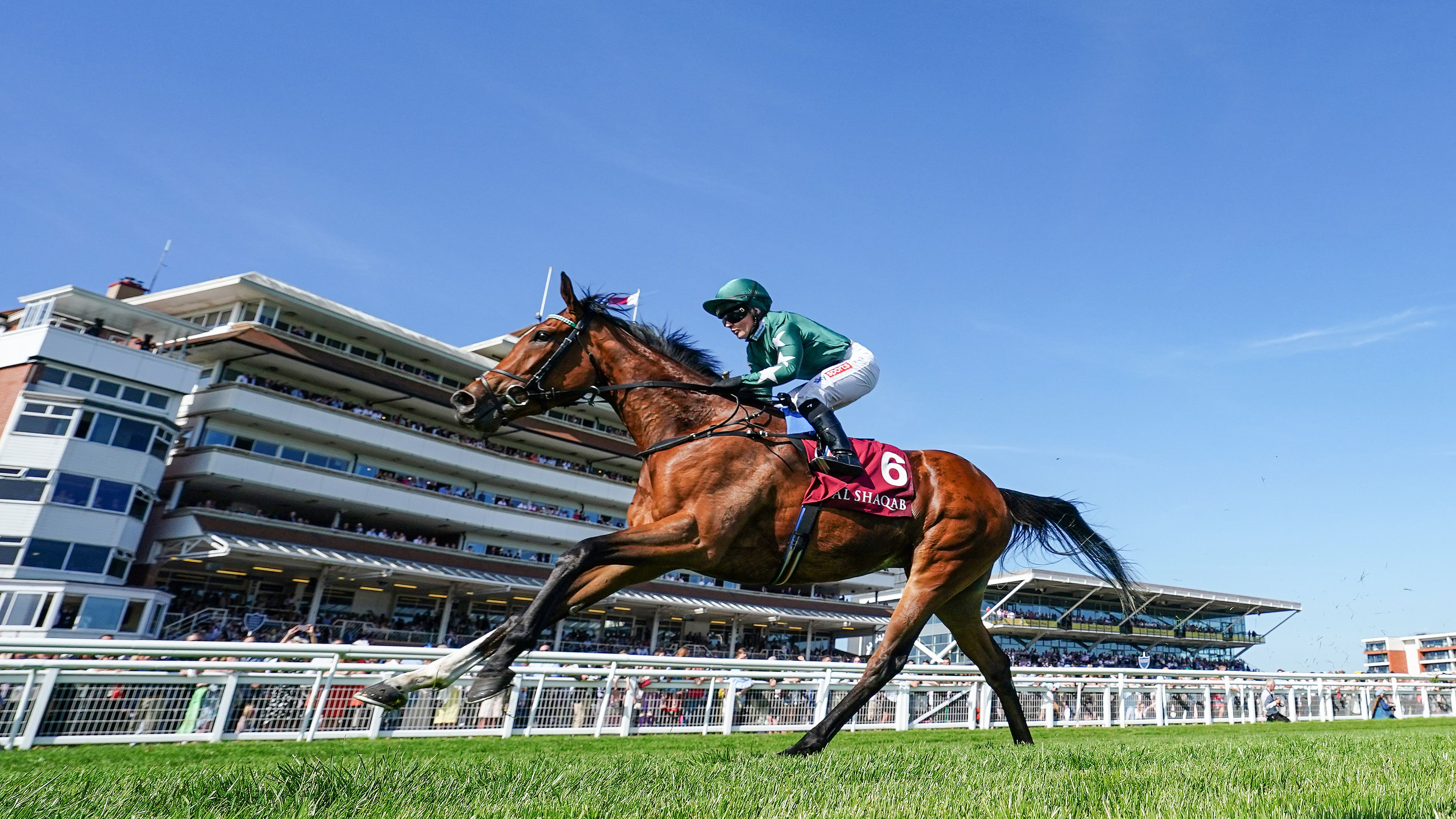 Qatar Nassau Stakes: Doyle and Nashwa seeking more glory - Vimarsana News
