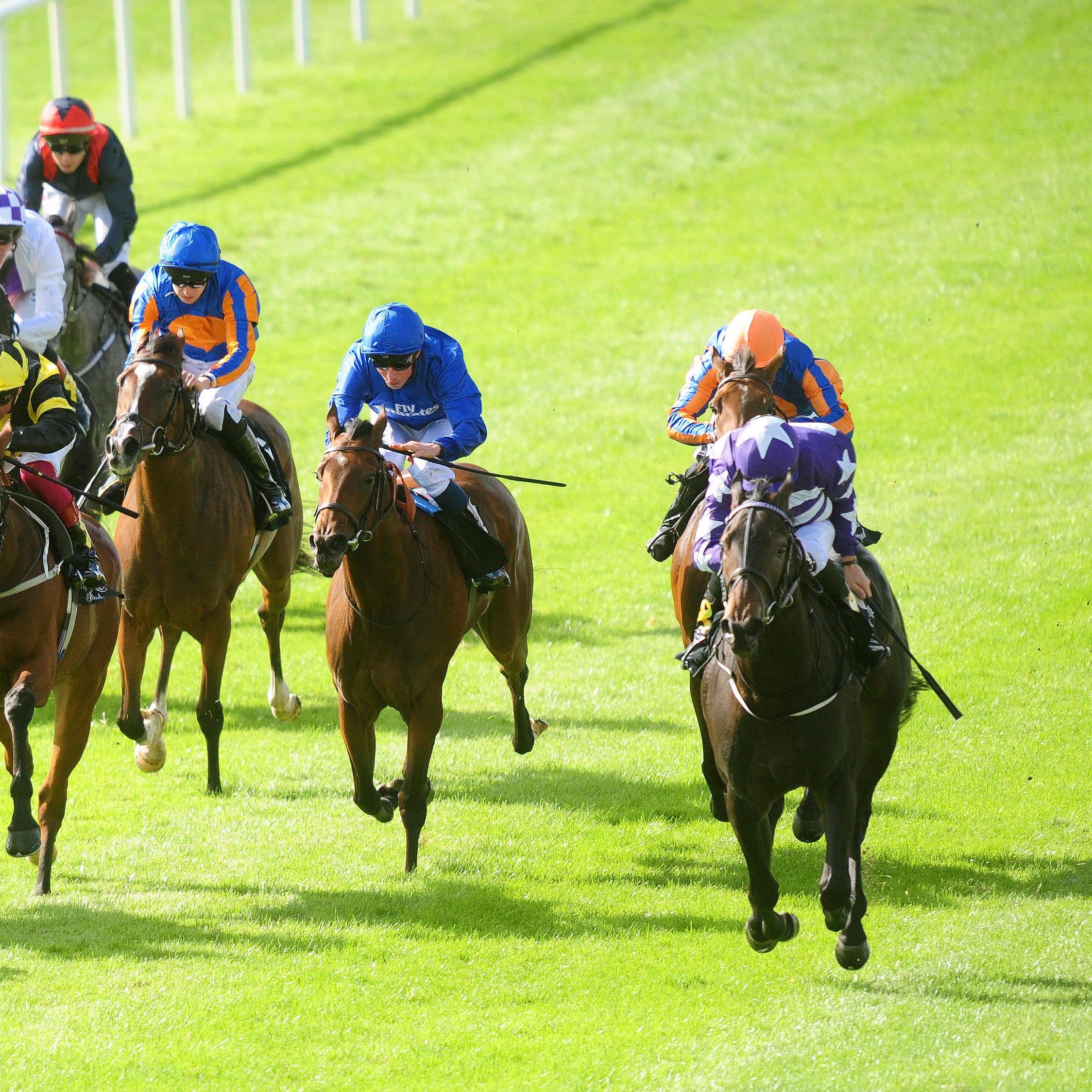 Lady Kaya (right) will drop in trip at Newmarket