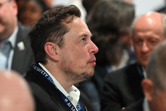 Elon Musk at the summit 