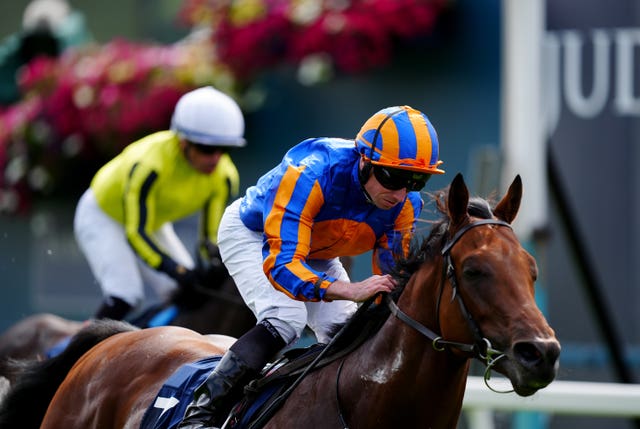 The Lion In Winter represents Aidan O'Brien 