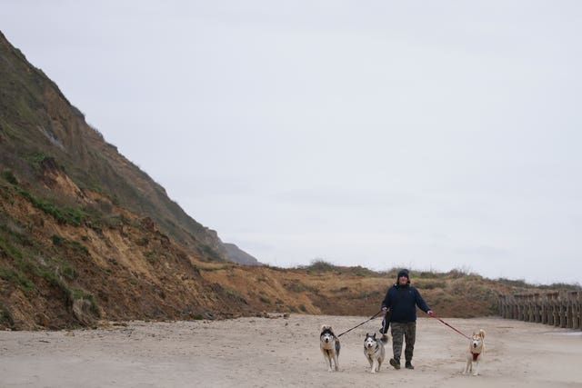 A man walks his dogs along a beach (Joe Giddens/PA)