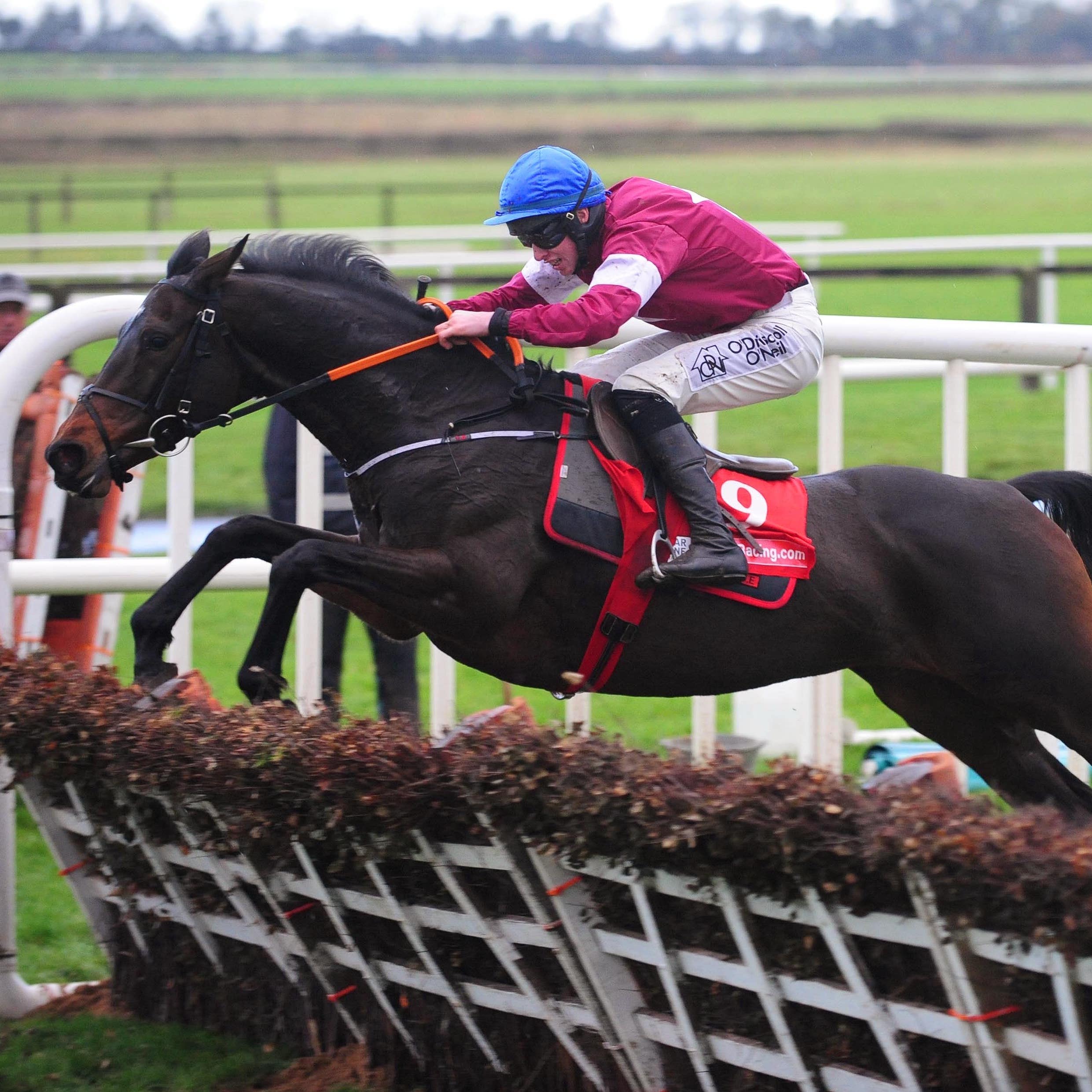 Appleās Jade winning her third Hatton's Grace