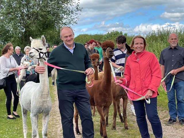 Liberal Democrat leader Sir Ed Davey and Liberal Democrat Parliamentary candidate for North Shropshire Helen Morgan walking some alpacas at Clivewood Farm in North Shropshire