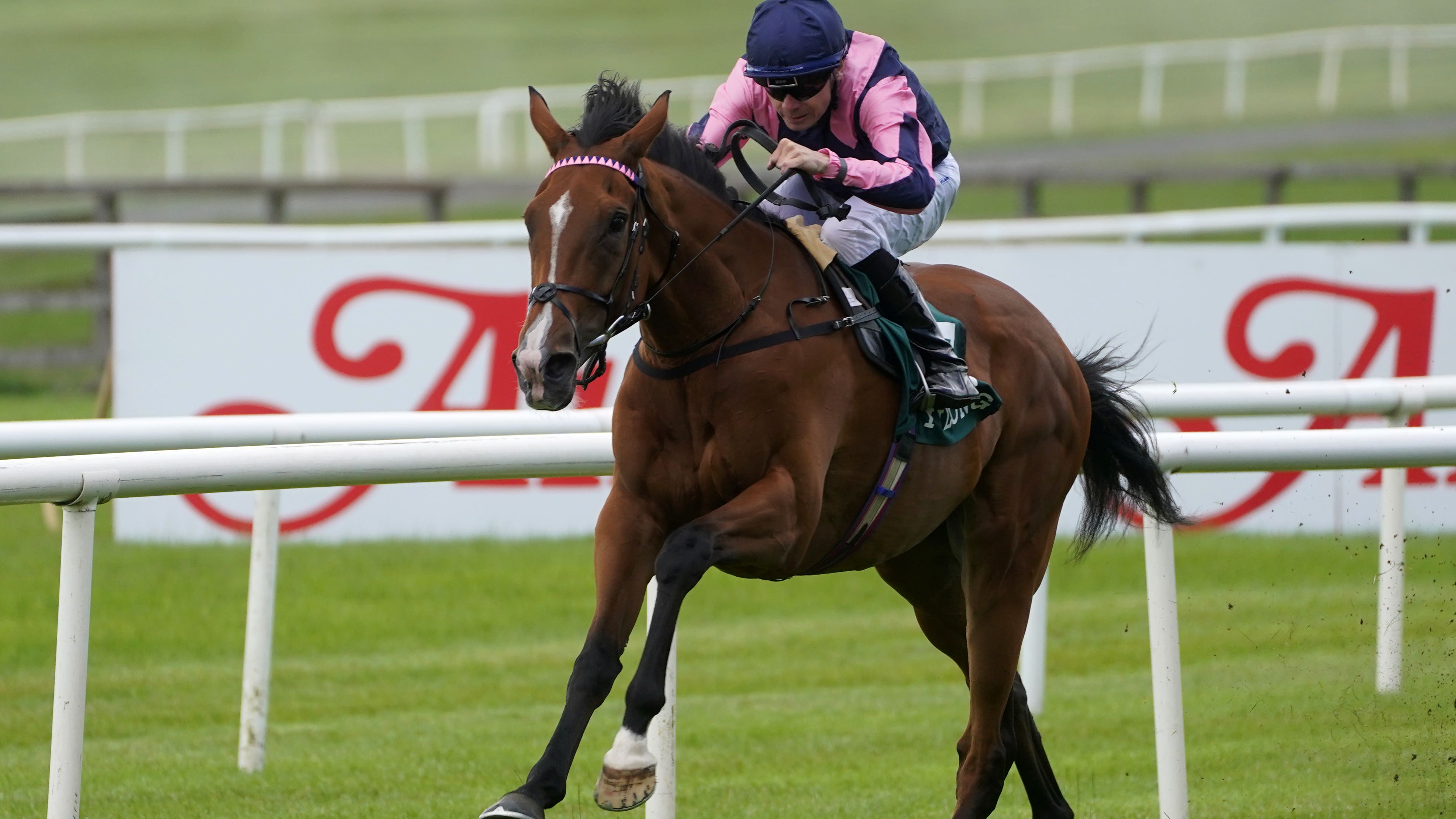 Falmouth Stakes declarations: rain needed for Via Sistina - Vimarsana News