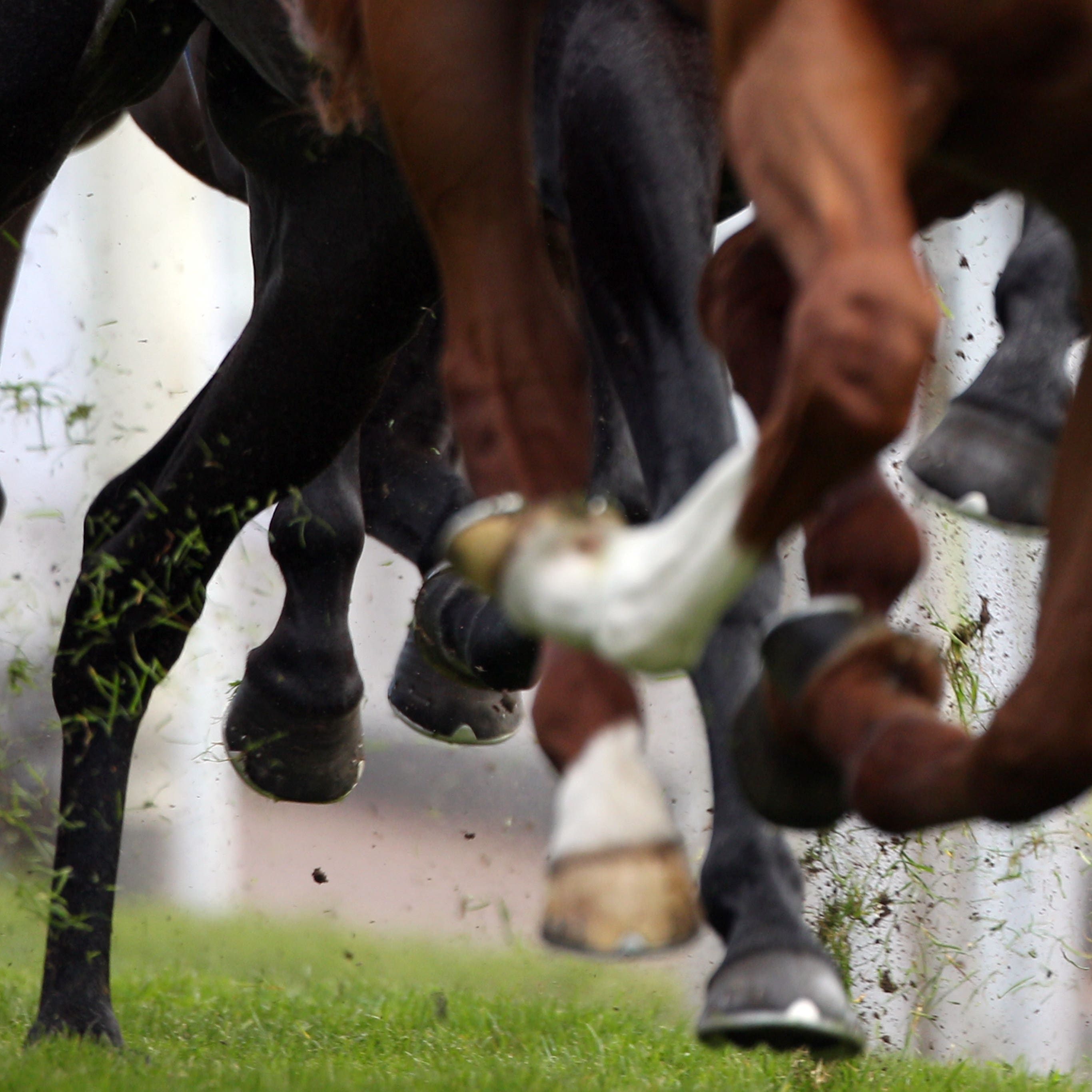 Racing at Naas goes ahead
