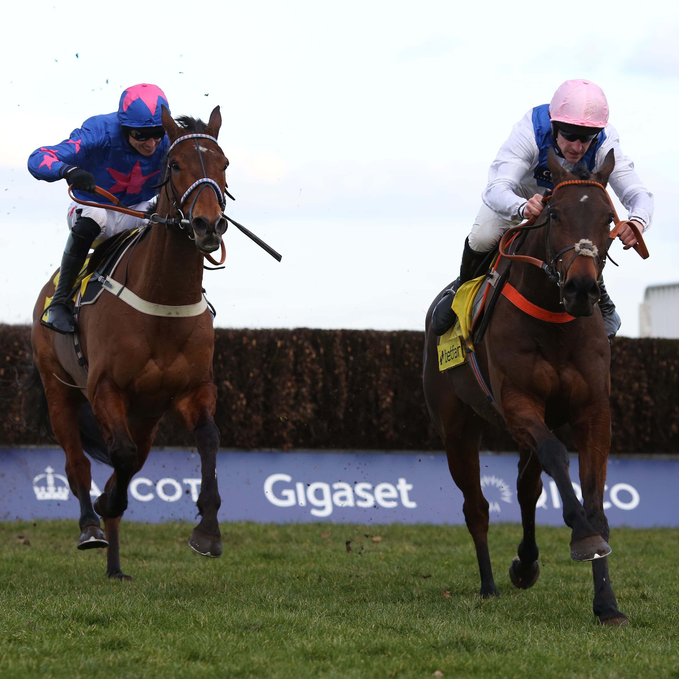 Waiting Patiently (right) sees off Cue Card in the Ascot Chase