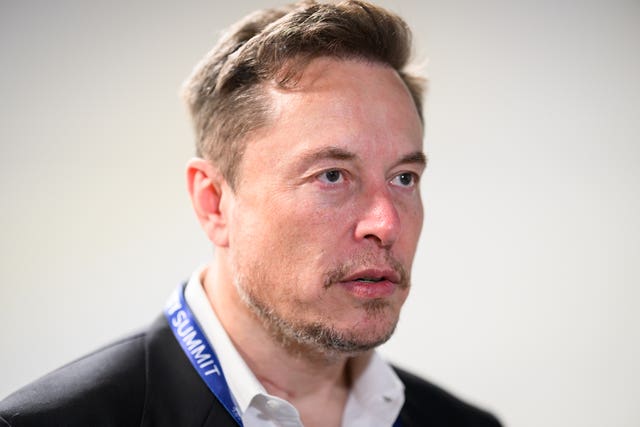 Tesla chief executive Elon Musk