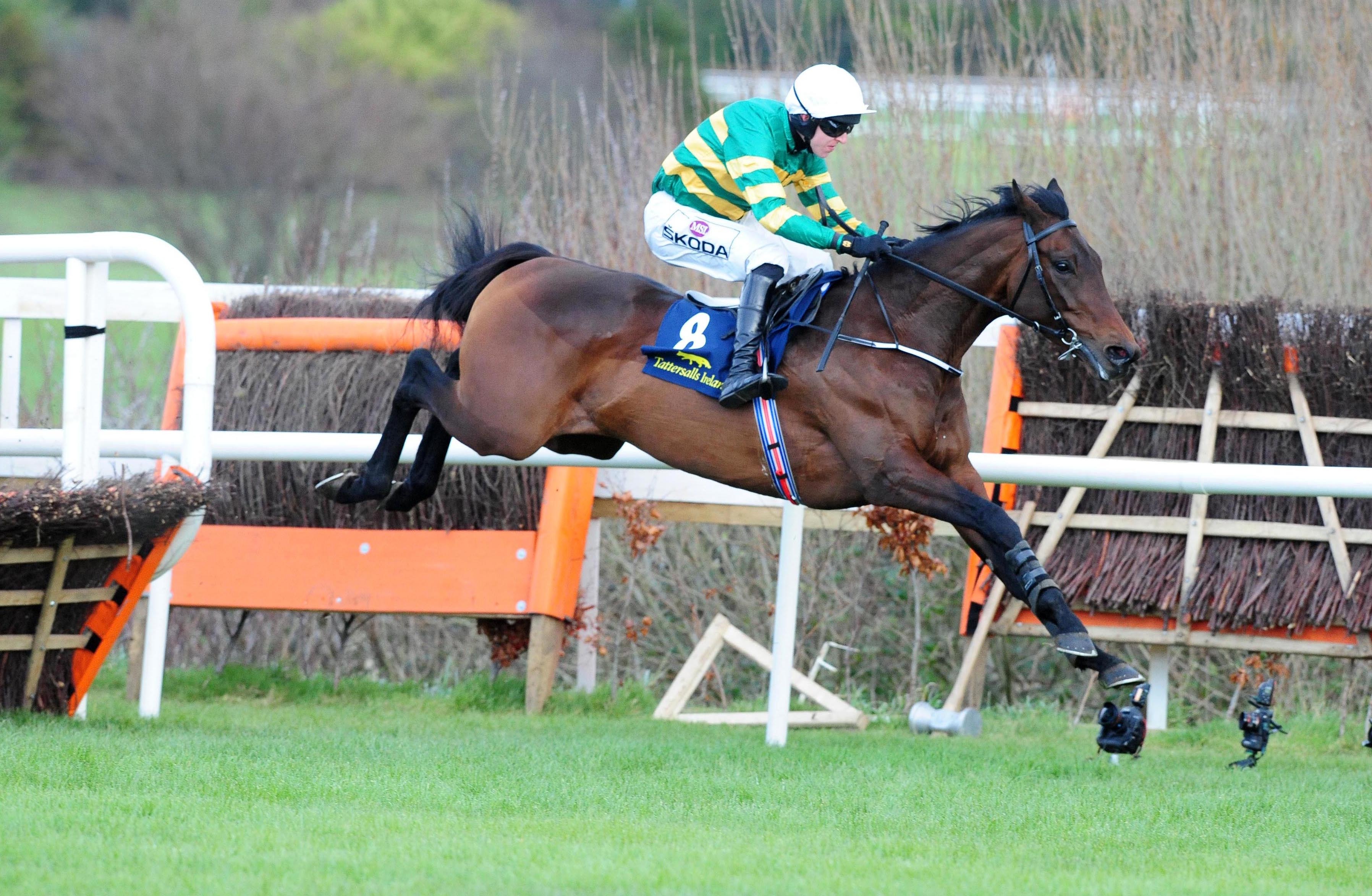 Hot favourite Sir Erec could hammer the bookmakers in the Triumph Hurdle on Friday