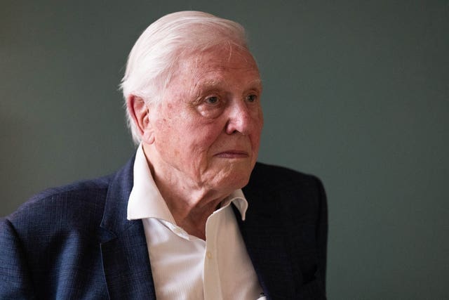 Sir David Attenborough portait