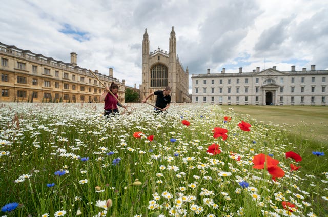 Summer weather in Cambridge