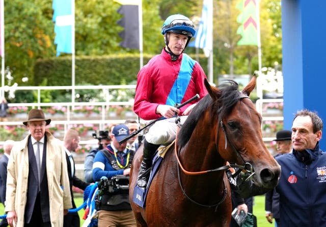 Jockey Richard Kingscote celebrates with horse Bay Bridge after winning at Ascot last season