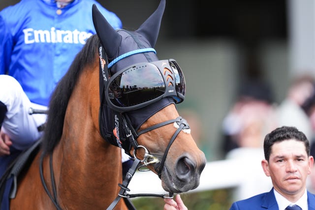 Trawlerman sporting goggles ahead of the Gold Cup at Royal Ascot