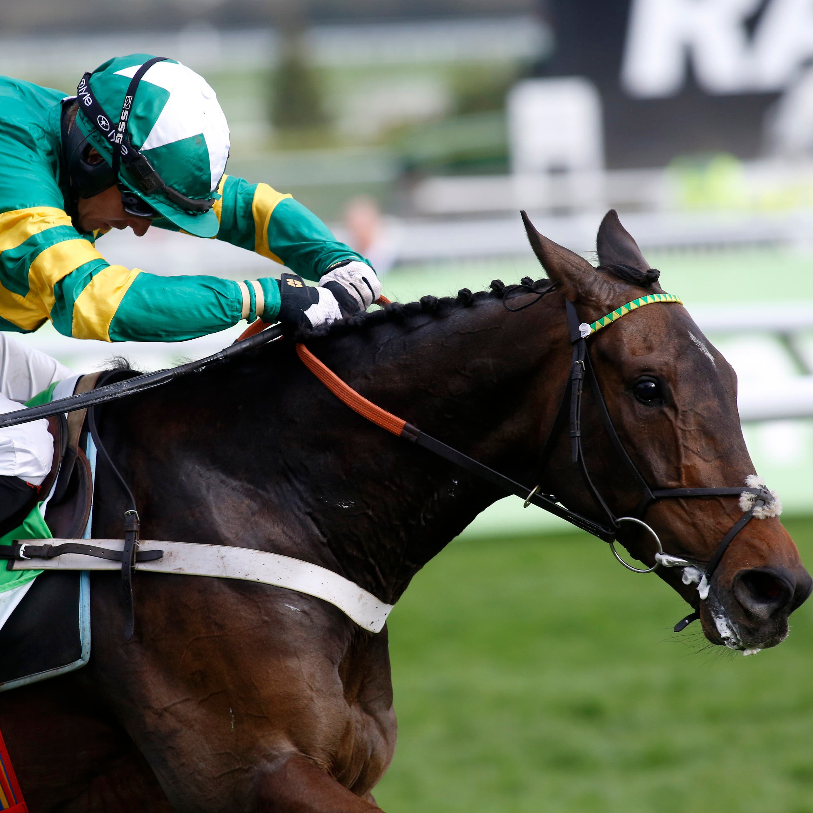 Buveur D’Air is aiming to stretch his unbeaten run to 11